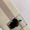 mosa_02 mosa_02